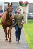 Michael Ryan of Ireland with Ballylynch Adventure