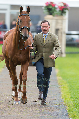 Michael Ryan of Ireland with Ballylynch Adventure
