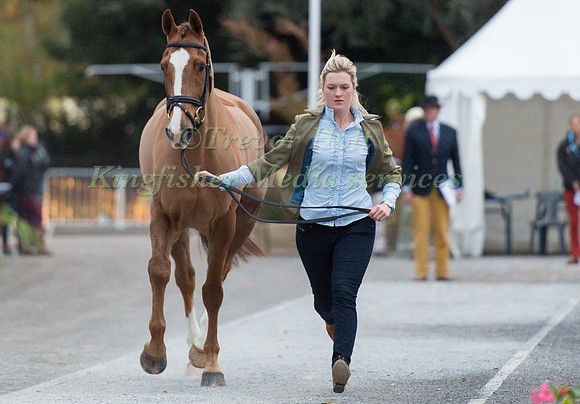 Clare Abbott of Ireland and Euro Prince