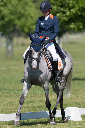 SANNE DE JONG (NED) RIDING ENJOY III IN THE DRESSAGE PHASE OF THE CICO THREE STAR AT THE 2017 HOUGHTON INTERNATIONAL HORSE TRIALS