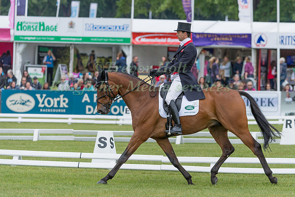 HARRY MEADE (GBR) AND TENAREZE