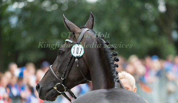 ELLEN KRISTINA HYNNE  (NOR) AND ROM TIKKA