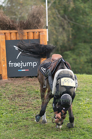 Andrew NICHOLSON  (NZL) AND JET SET