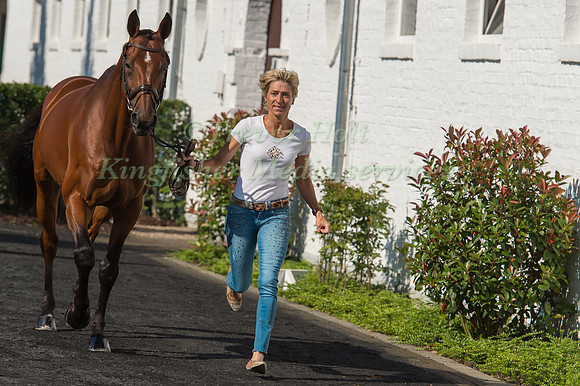 Ingrid Klimke (GER) and  Horseware Hale Bob