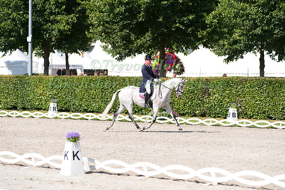 Oliver Townend and Neo du Breuil in the Warm up Area