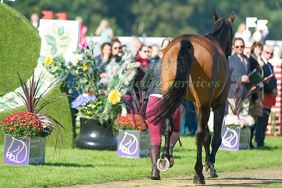 Harry Dzenis (GBR) riding Xam taking part in the Show Jumping Phase