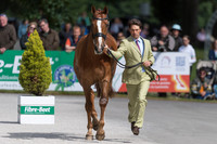 HARRY MEADE AND RED KITE