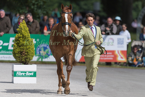 HARRY MEADE AND RED KITE