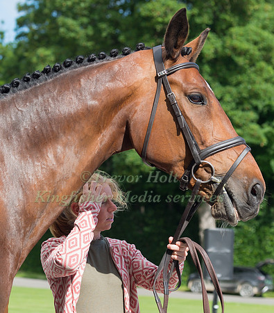 ROSALIND CANTER AND REHY ROYAL DIAMOND