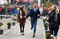 Alexander WHEWALL (GBR) AND CHAKIRIS STARR