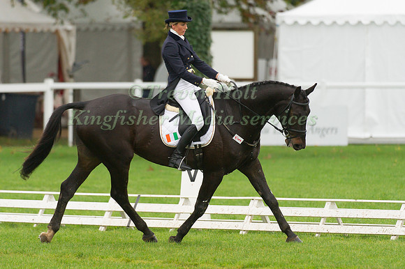 Daisy Duggan and Willows Dark Stranger