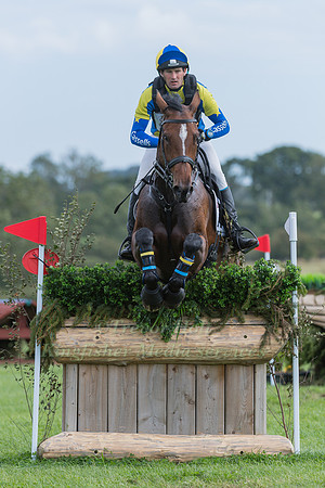 TYLER CASSELLS RIDING  J ADORE SALSA