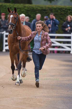 Jodie Stokes (GBR) and Mister Maccondy