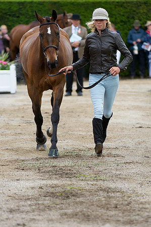 Lucy Jackson and Animator II