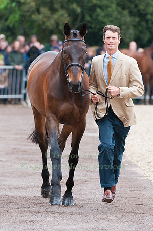 William Fox-Pitt and Macchiato