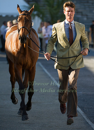 William Fox-Pitt and Seacookie